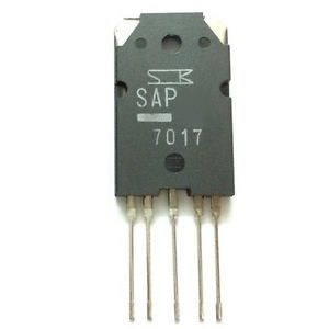 SAP09NY-SKN