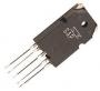 SAP16PY